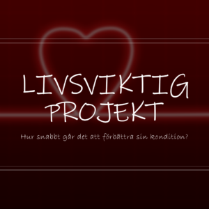 Konditionsprojekt